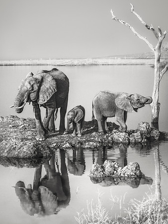 Fresh Water, Zimbabwe 2023