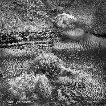 Sandscape