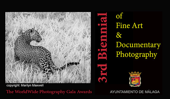 The Julia Margaret Cameron Third Biennial of Fine Art and Documentary Photography