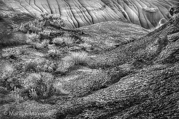 Rocks, Bushes, and Something