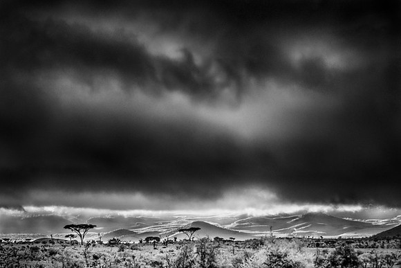 Curtain Over Kilimanjaro