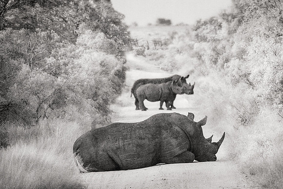 Roadblock