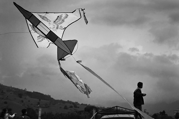 Kite Aloft