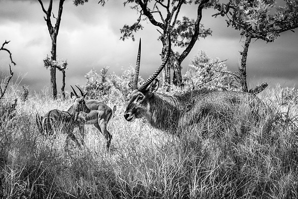 NewWork_2022-10