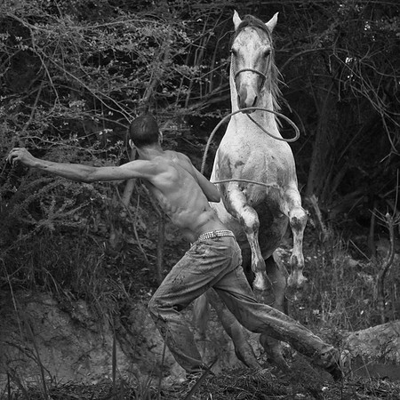 Aldo and his Stallion