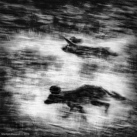Killers, Botswana
