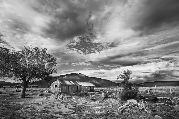 Old Pino Homestead