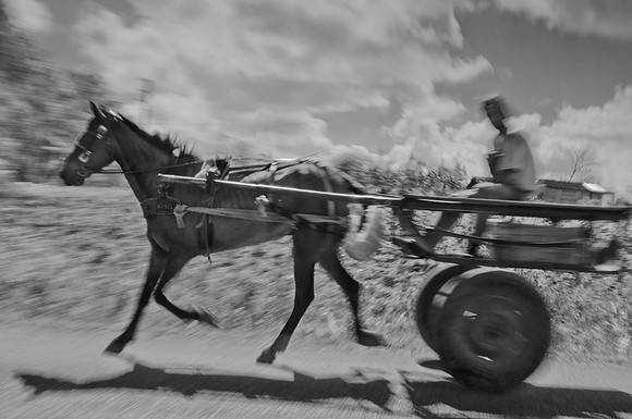 Horse and Cart