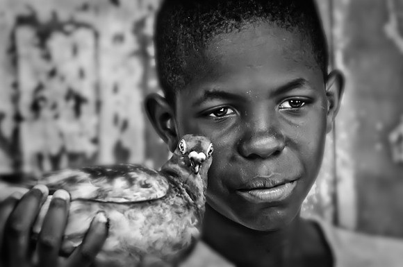 Boy And His Bird