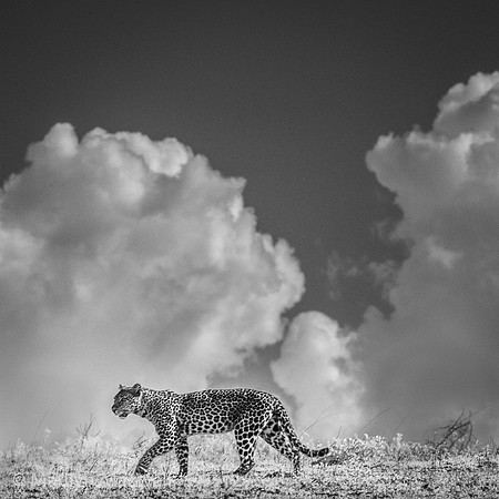 _DSC0800-Edit-Edit