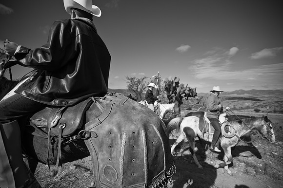 Horse Dressed For Blessing